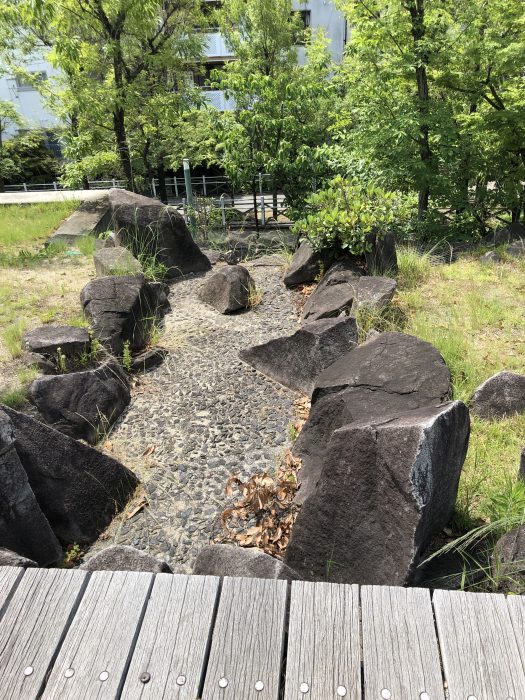 木造構造体表しによる木部の経年変化が意図していた通りなのか、今後も含めた確認のための写真です。